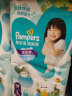 帮宝适（Pampers）超薄干爽 拉拉裤 XL108片【拉拉裤】 实拍图