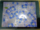 苹果/Apple iPad5/6/7/8/9/ mini1/2/3/4/5/6二手平板电脑 9新(9.7寸)17款ipad5代-32G 【wifi版】 实拍图