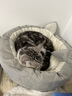 MinkSheen猫窝夏季四季通用 狗窝猫屋猫床网红狗窝小型犬幼犬狗垫子可拆洗宠物用品 猫耳朵S号+毛球+凉席（7斤猫咪/5斤狗狗） 实拍图