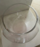 鱼麒麟 玻璃鱼缸圆形高缸小型造景宿舍居家创意桌面家庭观赏金鱼缸20cm 实拍图