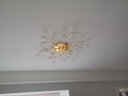 灯强 北欧风格灯具LED主卧室灯轻奢客厅大灯温馨浪漫花朵水晶吸顶灯 金色-36头-直径100cm三色变光 实拍图
