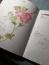 万物我画 植物 实拍图