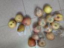 岸上人家山西红富士苹果水果脆甜冰糖心丑苹果新鲜时令水果整箱水果75mm+ 净果8.5斤单果75mm+ 实拍图