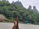 李宁运动卫裤女新款灰色棉感舒适秋冬季大码休闲训练裤子束脚针织卫裤 标准黑 S 实拍图