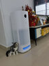 美的（Midea）空气净化器 宠物款猫毛净化器除菌过滤浮毛除异味过敏原除尘螨甲醛 宠物专用家用 【多宠适用】除臭杀菌吸浮毛 实拍图
