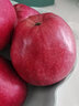 金百粟甘肃天水花牛苹果粉面红蛇大果 老人婴儿当季新鲜苹果水果生鲜 5斤12枚精品75-80mm[苹果礼盒装] 实拍图
