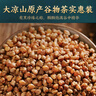 贡苑 特优级黑苦荞茶650g 四川大凉山实惠装黄金苦荞大麦养生香谷物茶 实拍图