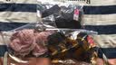 古今（GUJIN）【商场同款】内衣女性感优雅蕾丝花边舒适聚拢侧收文胸罩薄款 黑色 85C 实拍图