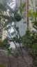 苦瓜套袋 丝瓜防虫套袋苦瓜防虫袋无纺布防蜂防果蝇防虫套袋 扎丝款 15*36cm(100个装)苦瓜套袋 实拍图