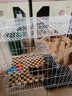 汤琪猫笼加粗便携折叠猫笼子猫别墅家用双层宠物用品猫窝猫屋龙猫笼子 白色 700#双层 实拍图
