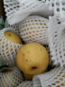东北南果梨鞍山10斤新鲜梨子现季水果南果梨大果整箱 5斤 南国梨 小果 （约40个） 晒单实拍图