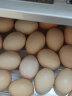 桂青源 无菌谷物蛋 无沙门氏菌鲜鸡蛋1.5kg30枚礼盒 春节年货 30枚 实拍图