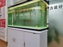 闽江（minjiang）鱼缸水族箱家用屏风生态造景中大型金龙鱼缸客厅免换水鱼缸 纯洁白色（养鱼礼包+造景礼包+升级过滤） 长120.6*宽36.7*高139(缸体+底柜) 实拍图