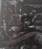 演化 古生物进化史（法国自然历史博物馆镇馆标本全呈现) 实拍图