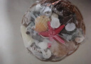 派乐特 贝壳鱼缸造景装饰摆件套餐水族箱底沙砂石海螺 含篮子 实拍图