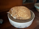 pidan猫抓板 山谷款 碗形大瓦楞纸猫窝耐磨猫玩具 高品质猫咪用品 晒单实拍图