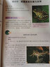 【新华书店正版】初中苏教版8八年级下册生物学课本苏教版初二下册生物书教科书教材八年级下册生物江苏凤凰教育出版社 实拍图