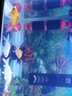 NY水族鱼缸三合一过滤器内置水妖精鱼粪便收集器分离器循环泵反气举鱼马桶 N612-多功能过滤桶-连接电源 15-35W 静音潜水泵 实拍图