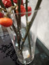 盛世泰堡玻璃花瓶水培透明水养植物插花大花瓶客厅餐厅装饰摆件直筒款1030 实拍图