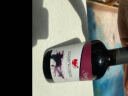 哈列巴（KHAREBA）格鲁吉亚原瓶原装进口红酒国际金奖金兹玛拉乌里半甜红葡萄酒晚安 【单支】1瓶 实拍图