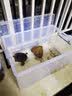 JEKO&JEKO特耐斯直角收纳箱大号透明收纳盒衣服整理箱子儿童玩具零食储物箱 直角抗压65L-3只装【稳固叠放】 加厚加固直角抗压 实拍图