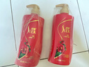 舒蕾洗发水洗发露洗头膏沐浴家庭大容量装蚕丝水莲国货新老包装随机发 山茶花精油洗发水600ml*2瓶 实拍图