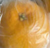 京鲜生 进口红心西柚/葡萄柚 4粒 单果280g起 新鲜水果 实拍图