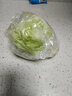 生菜球生菜 火锅食材 圆生菜 沙拉火锅 新鲜蔬菜 禾人 1枚装 1枚装 实拍图