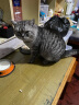 奥丁（ODIN）全价冻干双拼猫粮 鲜肉美毛 宠物主粮幼猫成猫通用型猫粮10kg 实拍图