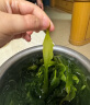 溢源【源头直发】有机盐渍海带苗海带嫩芽500g凉拌凉菜煲汤火锅食材 500g*5包有机海带大苗加送250g苗 实拍图
