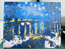 史历克 数字油画DIY世界大师名作合集1手工涂色画创意减压填色油画 罗纳河上的星夜（梵高）FZ-6286 40*50cm 彩布(要自己涂色) 实拍图