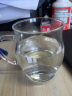 HARIO 水杯耐热玻璃杯子花茶杯直觉杯日本原装进口 HKM-1T 330ml 晒单实拍图
