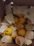 璞煜苑【现货速发】露天应季新鲜杏子 大黄杏偏甜凯特水果现摘现发 净重 3斤优选 实拍图