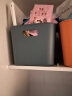 百露收纳盒家用厨房长方形杂物置物箱储物筐塑料整理桌面零食抽屉盒子 龙胆绿大号【升级特厚磨砂质感】 实拍图