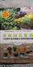 家庭园艺盆栽 106种不会失败的小空间花园方案（适用于室内，阳台，露台和小花园） 实拍图