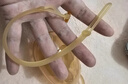 马博士婴儿牙胶安抚磨牙胶棒宝宝防吃手神器纳米银蘑菇+小兔子牙胶 实拍图