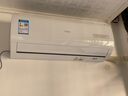 海尔（Haier）空调挂机大1.5匹【国家补贴20%】一级能效自清洁家用室内挂壁式冷暖两用节能省电空调 以旧换新 1.5匹 一级能效 新品净省电Pro+双极离子除菌 实拍图