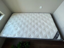 天坛独立袋装弹簧床垫天然乳胶 椰棕 天丝抑菌防螨青少年席梦思床垫 轻奢B款 柔软舒适-独立簧+乳胶 120*200cm 实拍图