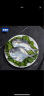 赴鲜记舟山银鲳鱼 300g 2条 白鲳鱼平鱼 国产海鲜水产 地理标志 晒单实拍图