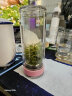 希诺抗菌玻璃杯双层透明水杯女高颜值过滤泡茶杯子XN-1951粉色 270mL 晒单实拍图