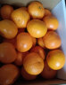 知鲜湾橘子广西砂糖橘沙糖桔蜜桔砂糖桔水果当季水果整箱8斤 晒单实拍图