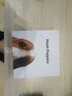 暇步士（Hush Puppies）红腰带本命年男真皮针扣红色皮带头层牛皮男士裤带蛇年本命年礼物 外黑内红946 130cm 实拍图