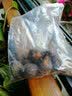 花萌萌耐寒室外四季易活花卉植物种子庭院阳台韭兰花苗风雨兰种球花  韭兰种根10个 实拍图