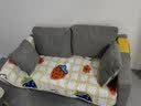 昊罔（HAOWANG）北欧简约现代布艺沙发小户型客厅双人出租房卧室公寓简易网红沙发 浅灰色【海绵款】 双人位 120cm 置物袋+2抱枕 实拍图