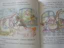 企鹅兔奇遇记 告诉我出生时候的故事小学彩图正版全集儿童故事书绘本小学生课外阅读书籍一至六年级必读书 实拍图