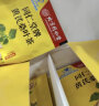 北京同仁堂辅助降血糖茶保健品黄芪桑叶茶适宜血糖高人群服用可搭养生茶玉米须茶等滋补茶饮用 1盒 24g 实拍图