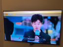 东芝（TOSHIBA）电视55Z500MF 55英寸量子点120Hz高刷 高色域  4K高清液晶智能平板电视3+64GB 以旧换新 实拍图