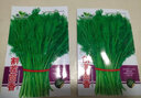播种心情 家庭种植蔬菜种子孑籽大全四季播种阳台盆栽农家庭院小菜园有机 割茬茴香种子2包 实拍图