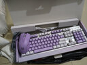 本手机械键盘有线键鼠套装 紫色键盘鼠标猫耳朵耳机三件套 背光可爱男女生办公台式电脑笔记本电竞游戏 紫白-混光红轴两件套【键盘+鼠标】 实拍图