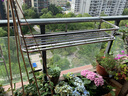 和则兴（hezexing） 不锈钢阳台花架悬挂式花盆挂架护栏多肉栏杆花架室内窗台收纳架 不锈钢80*25*12CM 实拍图